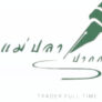 แม่ปลาปากกาเขียว Trader Full Time ระบบเทรดแม่ปลา